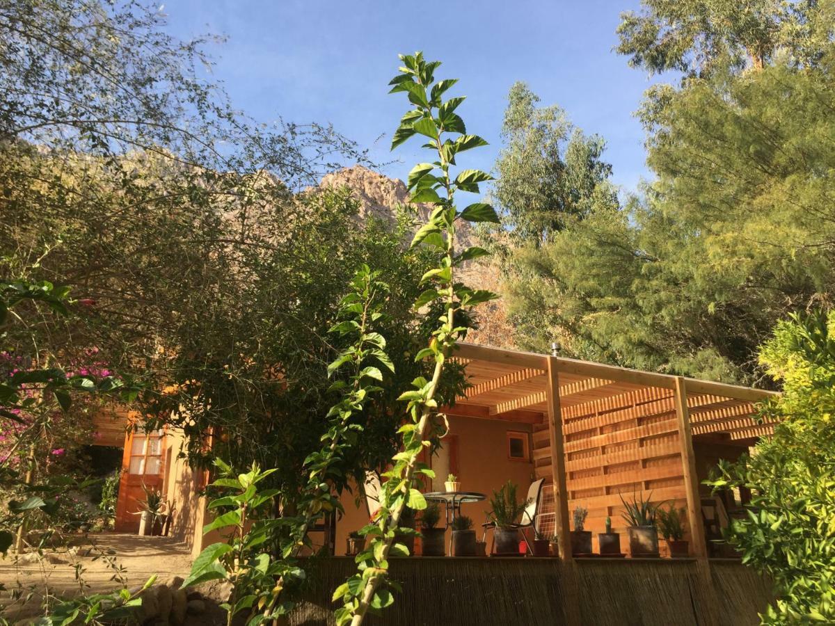 Cabanas El Albaricoque Cochiguaz El Sanjeado Екстериор снимка